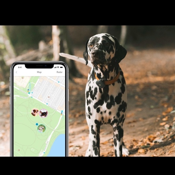 New Findster duo+. Opened but never used. - Picture 2 of 4